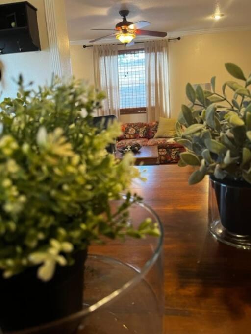 House Close To Downtown, Airport, Raymond James Stadium, And Many More Places Tampa Eksteriør billede